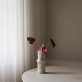 Red Anthurium Flower