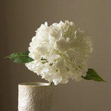 White Hydrangea Flower