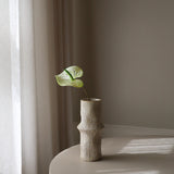 Green Anthurium Flower