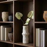 Green Anthurium Flower