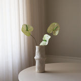 Green Anthurium Flower