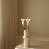White Calla Lily Flower