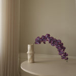 img-1|f87b281e