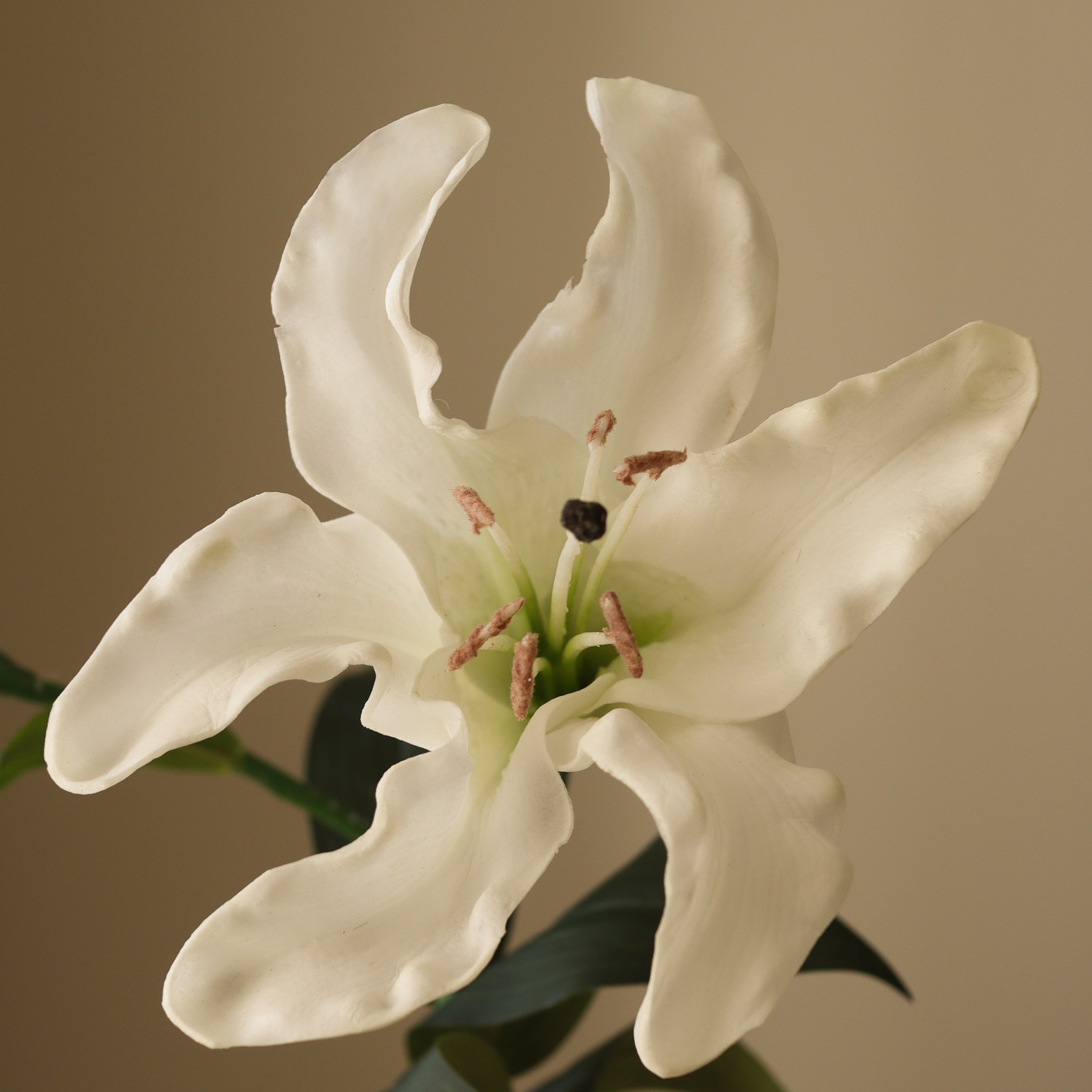 img-2|b464f788