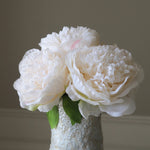 img-2|f9869ca3