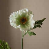 White Large Poppy Flower