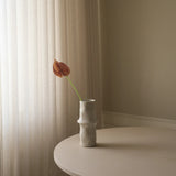 Rose Small Anthurium Flower