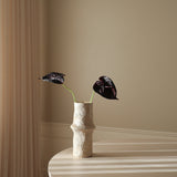 Black Small Anthurium Flower