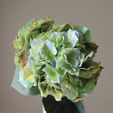 Olive Green Hydrangea Flower