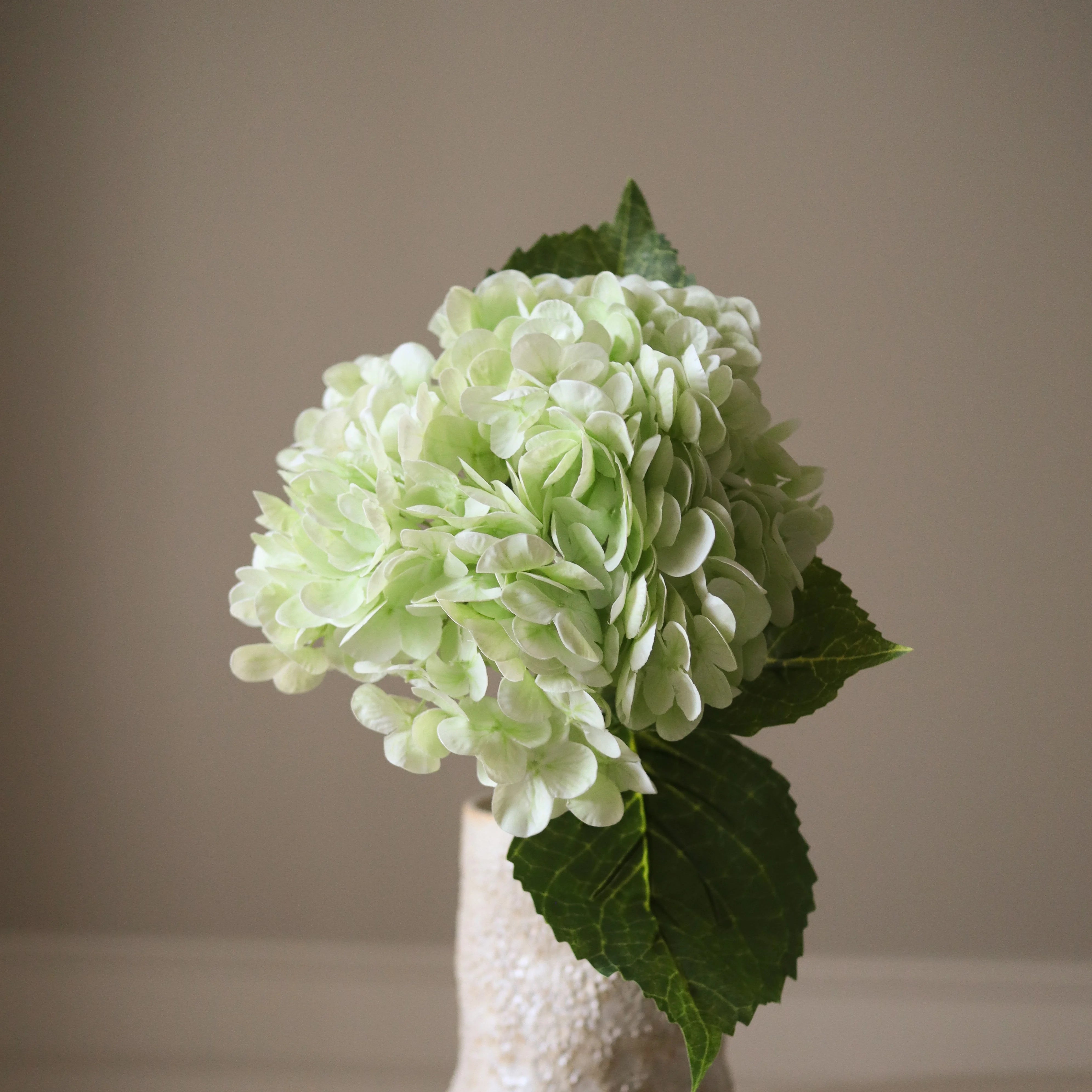 img-2|df50989a