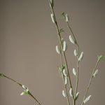 img-3|a822484c