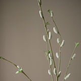 img-3|a822484c