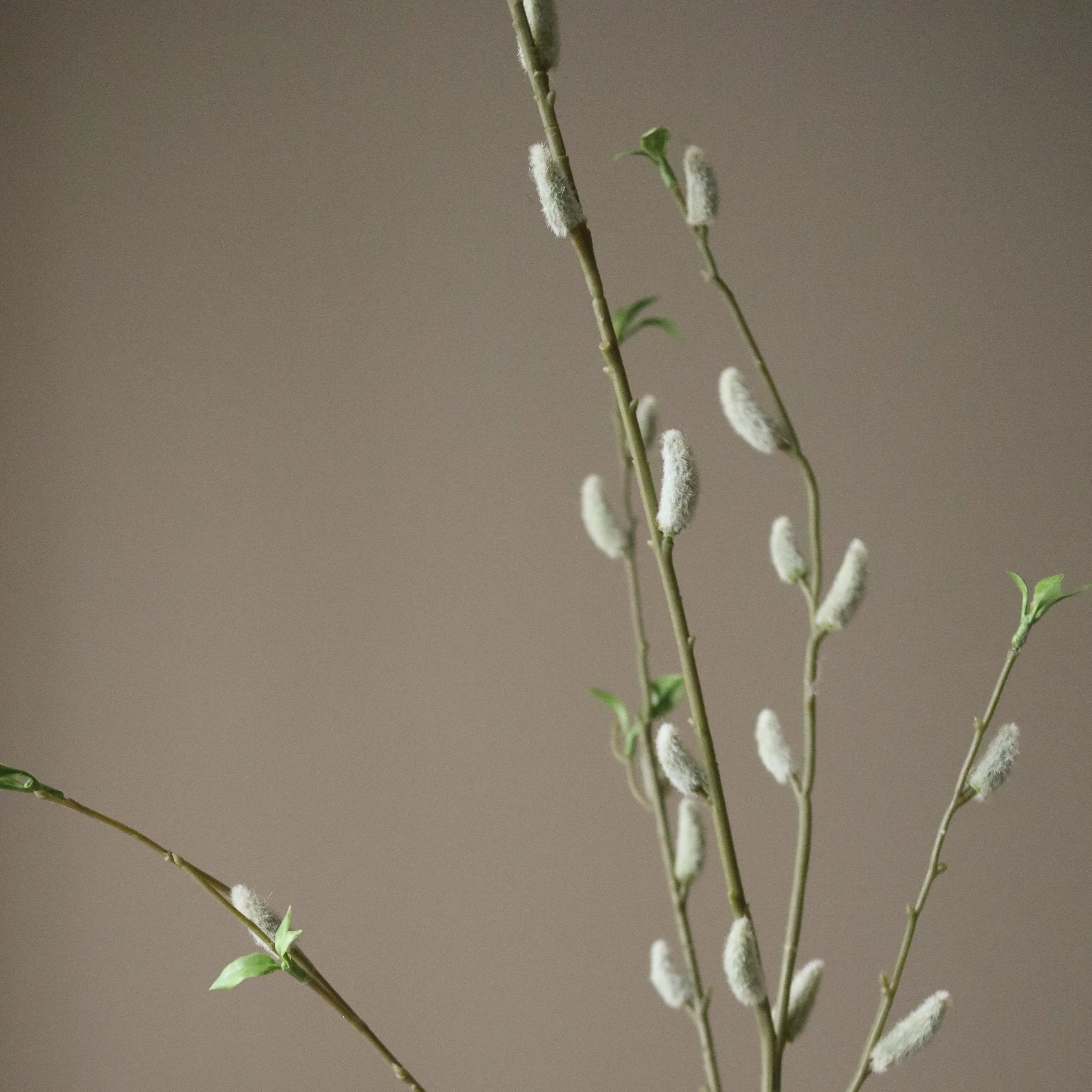 img-3|a822484c