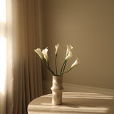 White Calla Lily Flower