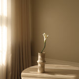 White Calla Lily Flower