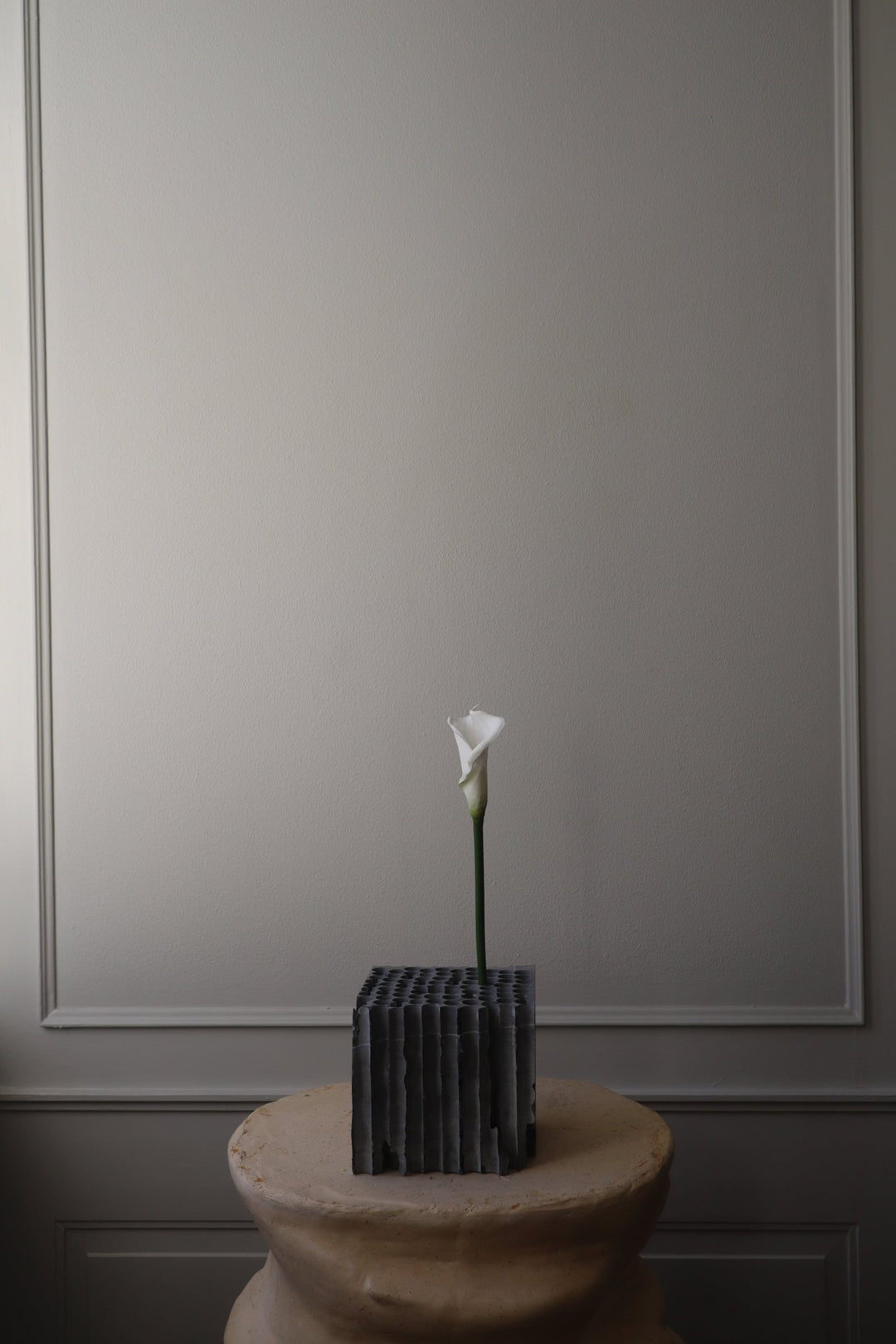 Shop unique and beatiful flower vases from Botané